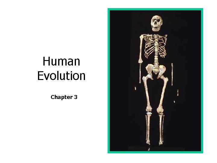 Human Evolution Chapter 3 