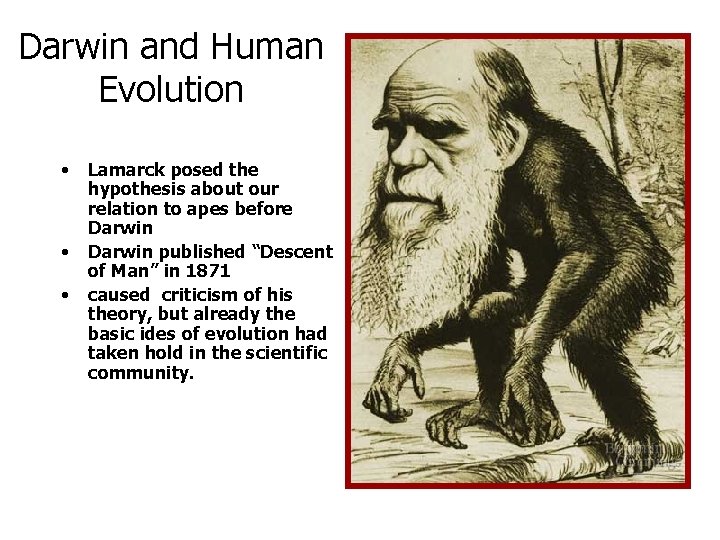 Darwin and Human Evolution • • • Lamarck posed the hypothesis about our relation