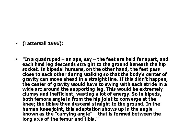  • (Tattersall 1996): • "In a quadruped – an ape, say – the