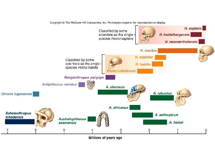 Fig. 23. 9 