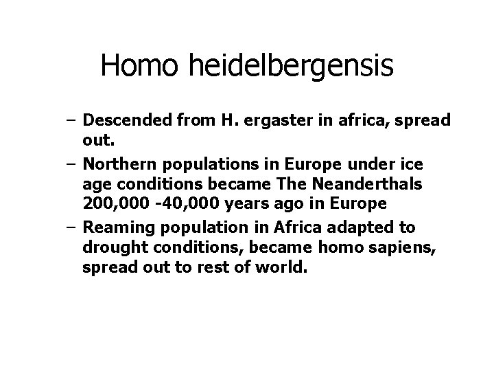 Homo heidelbergensis – Descended from H. ergaster in africa, spread out. – Northern populations