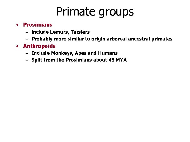 Primate groups • Prosimians – include Lemurs, Tarsiers – Probably more similar to origin