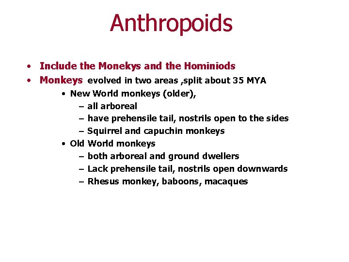 Anthropoids • Include the Monekys and the Hominiods • Monkeys evolved in two areas