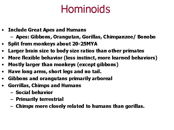 Hominoids • Include Great Apes and Humans – Apes: Gibbons, Orangutan, Gorillas, Chimpanzee/ Bonobo