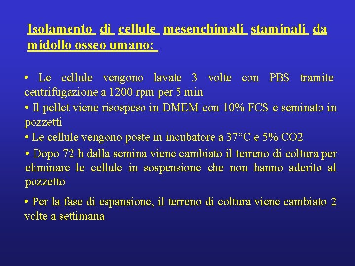 Isolamento di cellule mesenchimali staminali da midollo osseo umano: • Le cellule vengono lavate