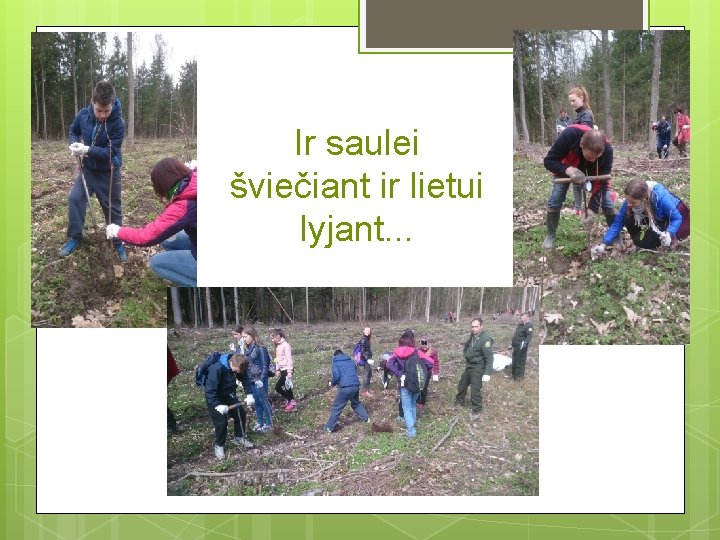 Ir saulei šviečiant ir lietui lyjant. . . 