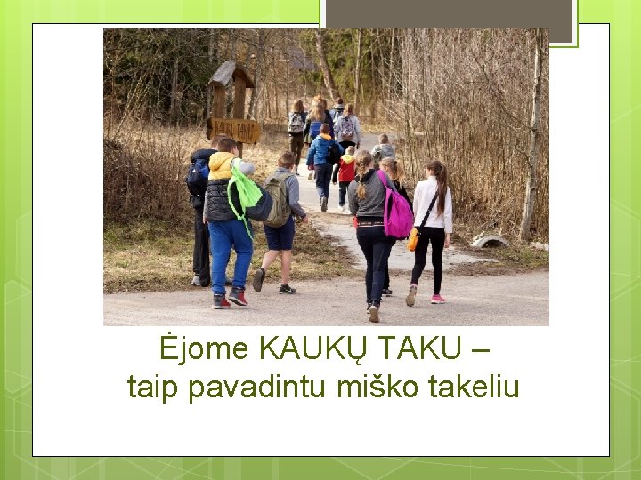 Ėjome KAUKŲ TAKU – taip pavadintu miško takeliu 