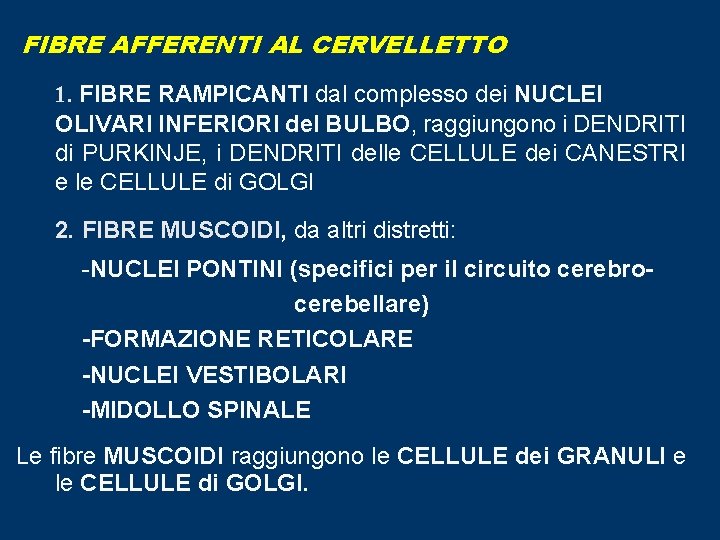 FIBRE AFFERENTI AL CERVELLETTO 1. FIBRE RAMPICANTI dal complesso dei NUCLEI OLIVARI INFERIORI del