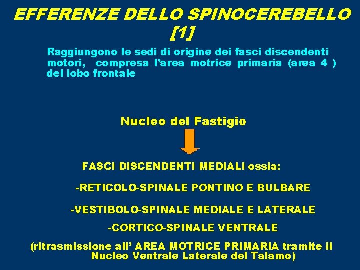 EFFERENZE DELLO SPINOCEREBELLO [1] Raggiungono le sedi di origine dei fasci discendenti motori, compresa