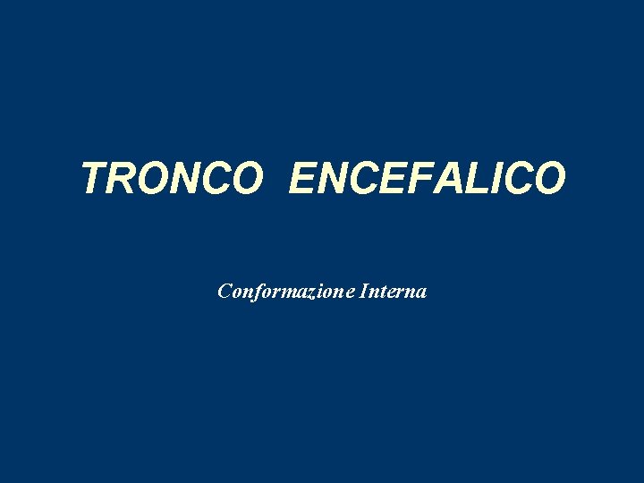 TRONCO ENCEFALICO Conformazione Interna 