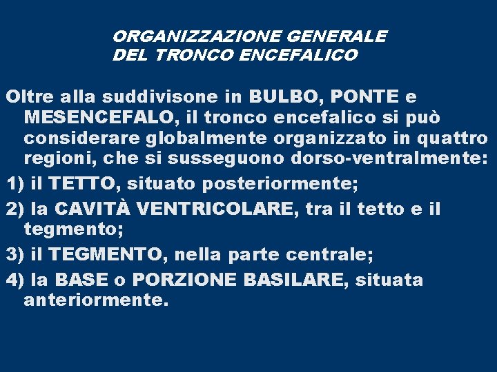 ORGANIZZAZIONE GENERALE DEL TRONCO ENCEFALICO Oltre alla suddivisone in BULBO, PONTE e MESENCEFALO, il