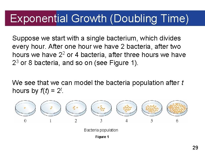 Exponential Growth (Doubling Time) Suppose we start with a single bacterium, which divides every