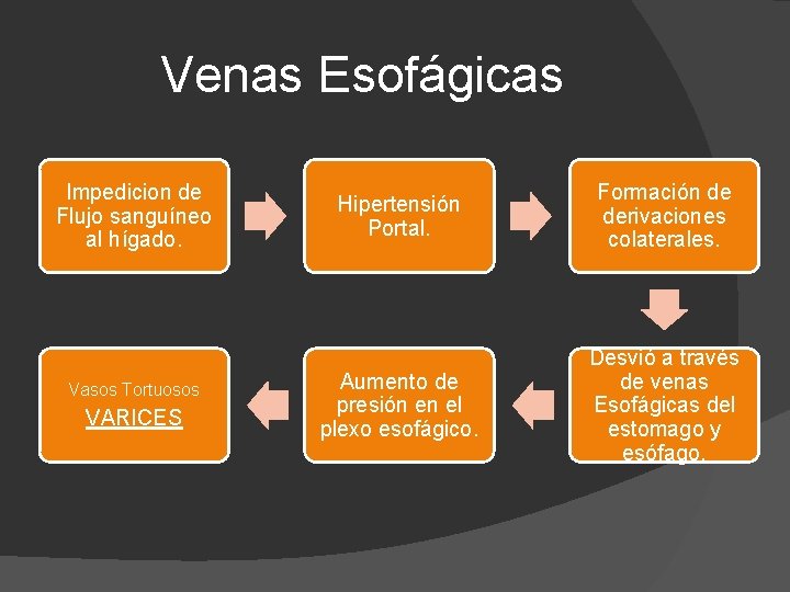 Venas Esofágicas Impedicion de Flujo sanguíneo al hígado. Vasos Tortuosos VARICES Hipertensión Portal. Formación