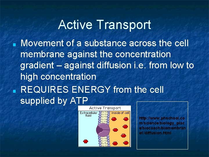 Active Transport ■ ■ Movement of a substance across the cell membrane against the