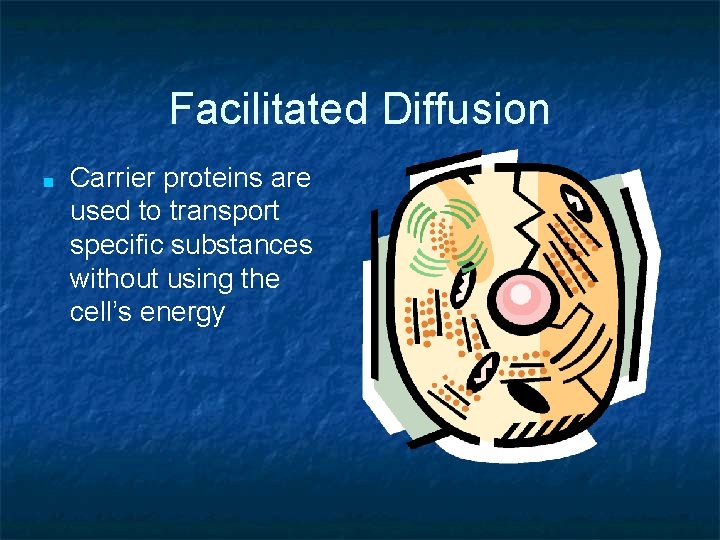 Facilitated Diffusion ■ Carrier proteins are used to transport specific substances without using the