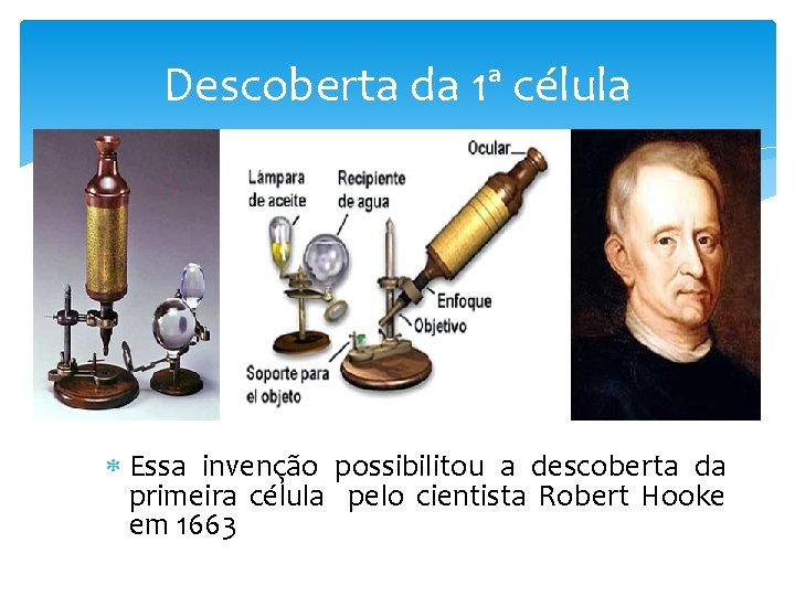 Descoberta da 1ª célula Essa invenção possibilitou a descoberta da primeira célula pelo cientista