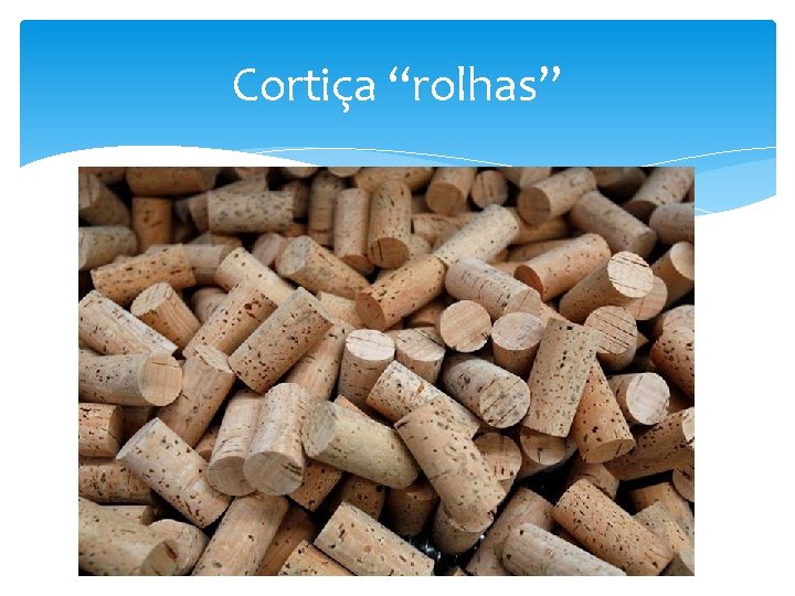 Cortiça “rolhas” 