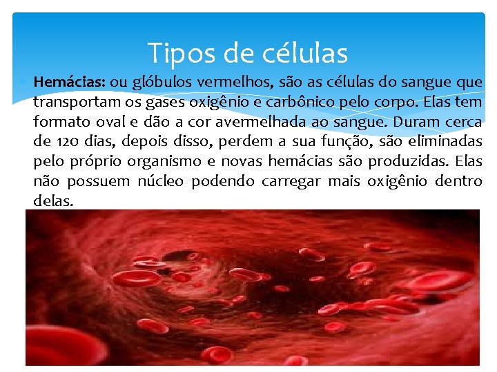 Tipos de células Hemácias: ou glóbulos vermelhos, são as células do sangue que transportam