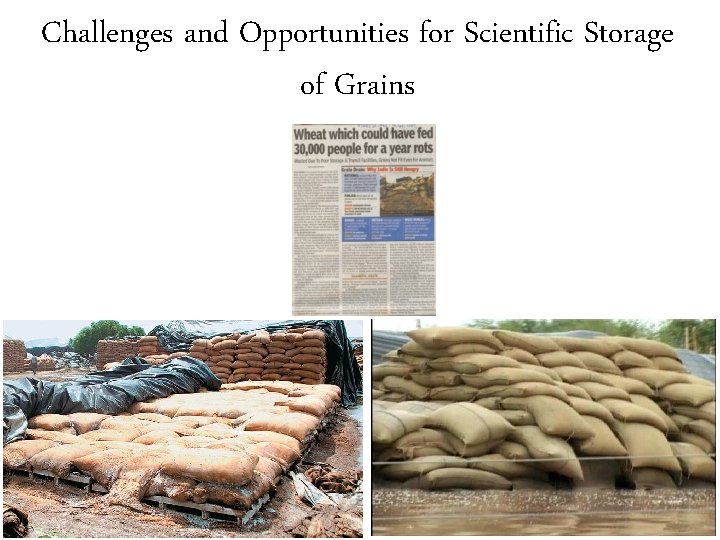 Challenges and Opportunities for Scientific Storage of Grains 1 