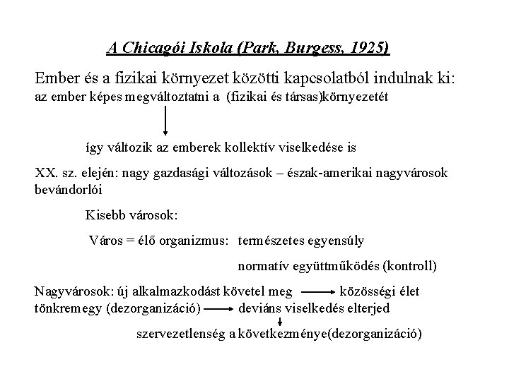 A Chicagói Iskola (Park, Burgess, 1925) Ember és a fizikai környezet közötti kapcsolatból indulnak