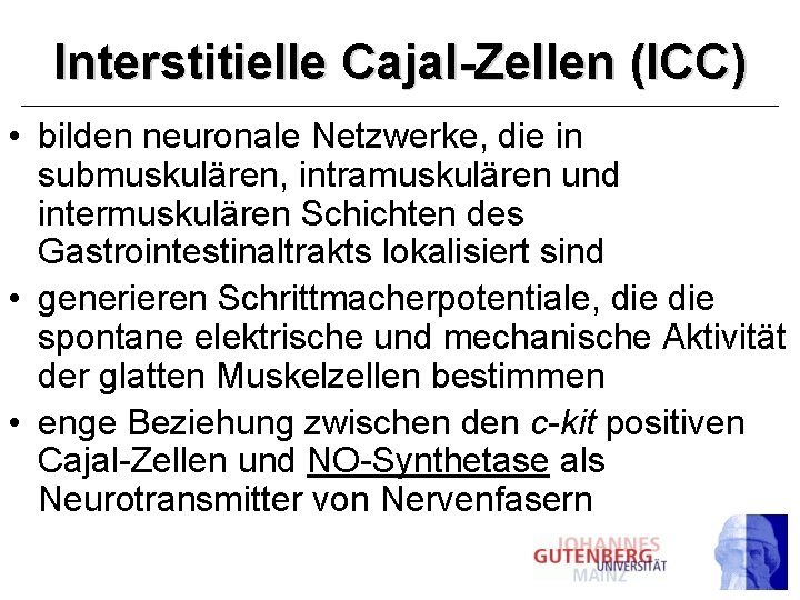 Interstitielle Cajal-Zellen (ICC) • bilden neuronale Netzwerke, die in submuskulären, intramuskulären und intermuskulären Schichten