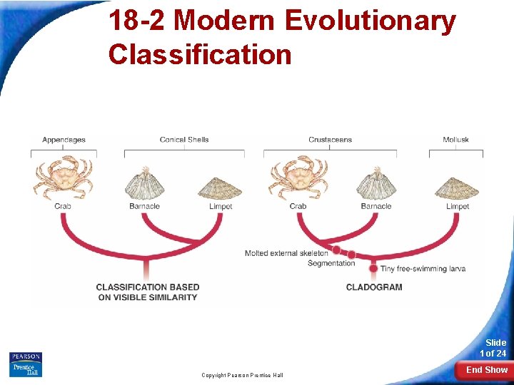 18 -2 Modern Evolutionary Classification Slide 1 of 24 Copyright Pearson Prentice Hall End