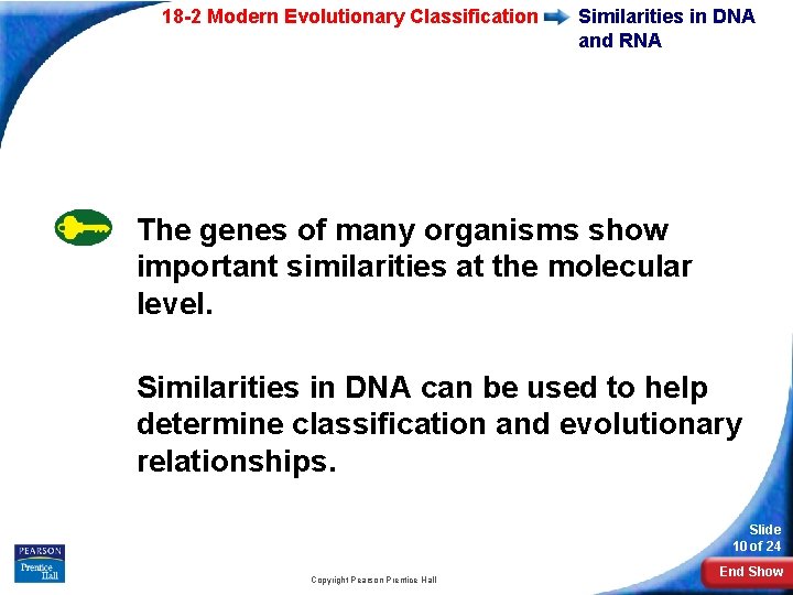 18 -2 Modern Evolutionary Classification Similarities in DNA and RNA The genes of many