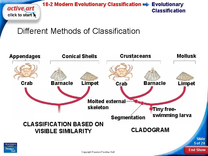 18 -2 Modern Evolutionary Classification Different Methods of Classification Appendages Crab Barnacle Mollusk Crustaceans