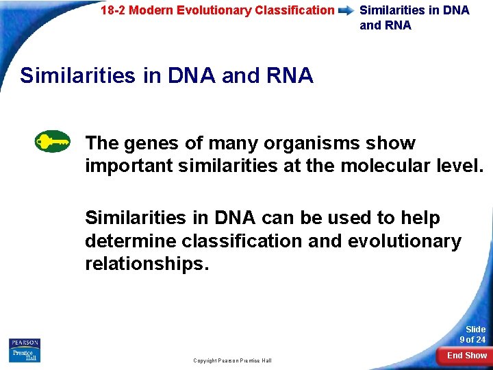 18 -2 Modern Evolutionary Classification Similarities in DNA and RNA The genes of many