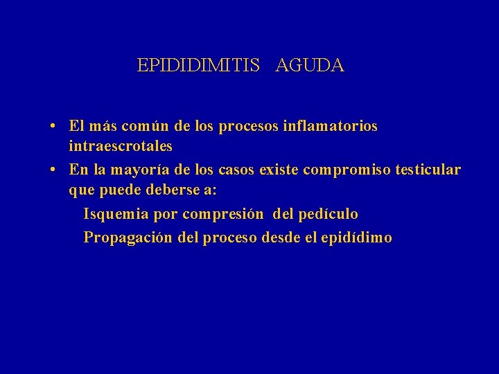 EPIDIDIMITIS AGUDA • El más común de los procesos inflamatorios intraescrotales • En la
