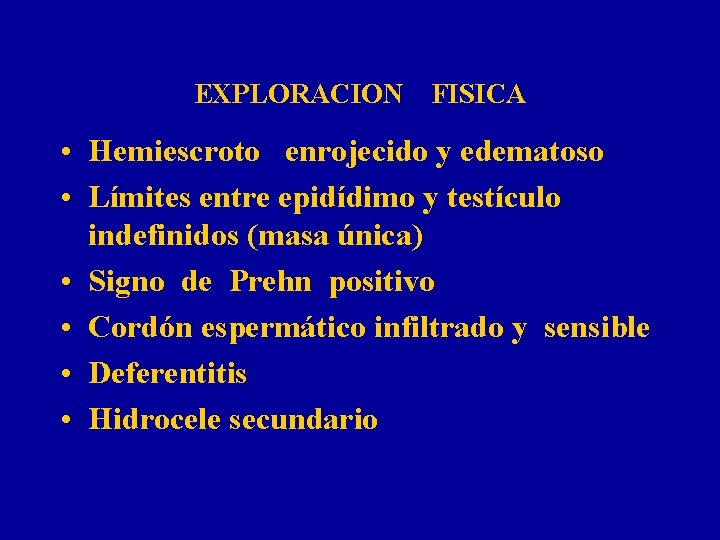 EXPLORACION FISICA • Hemiescroto enrojecido y edematoso • Límites entre epidídimo y testículo indefinidos
