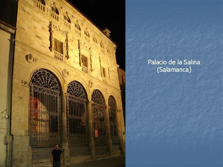 Palacio de la Salina (Salamanca) 