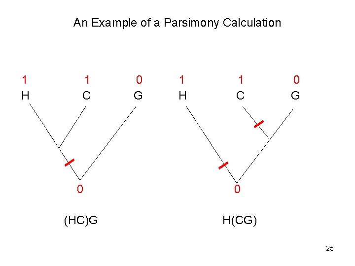 An Example of a Parsimony Calculation 1 H 1 C 0 G 1 H