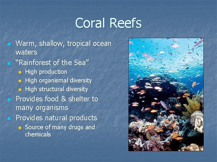 Coral Reefs n n Warm, shallow, tropical ocean waters “Rainforest of the Sea” n