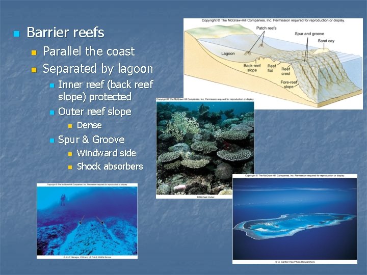 n Barrier reefs n n Parallel the coast Separated by lagoon n n Inner