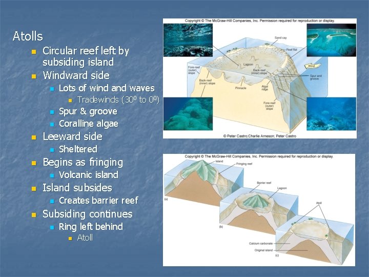 Atolls n n Circular reef left by subsiding island Windward side n Lots of