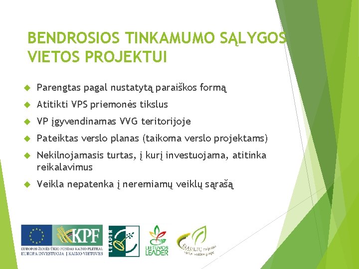 BENDROSIOS TINKAMUMO SĄLYGOS VIETOS PROJEKTUI Parengtas pagal nustatytą paraiškos formą Atitikti VPS priemonės tikslus