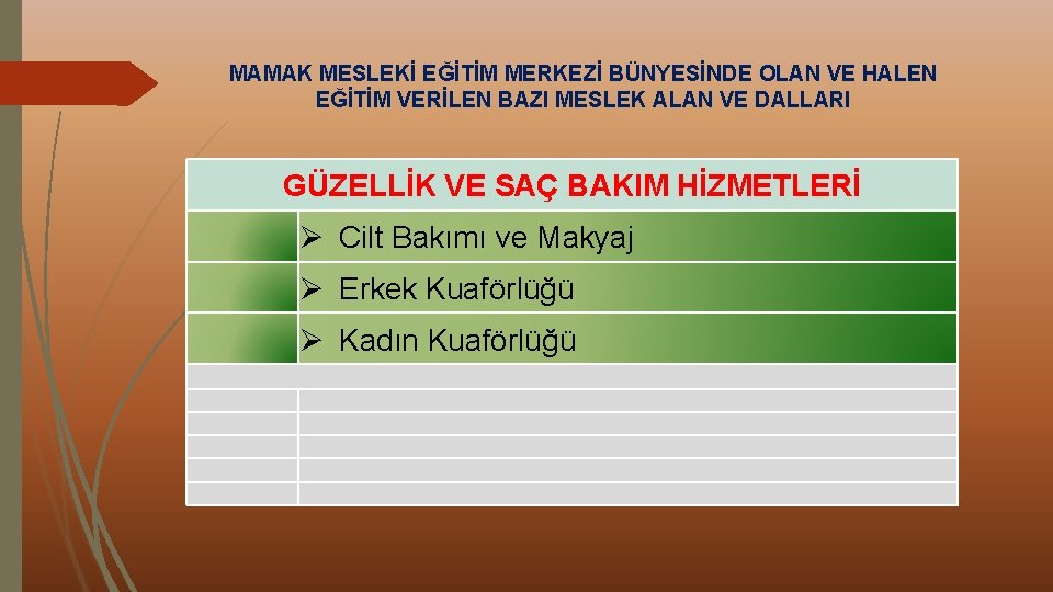 MAMAK MESLEKİ EĞİTİM MERKEZİ BÜNYESİNDE OLAN VE HALEN EĞİTİM VERİLEN BAZI MESLEK ALAN VE