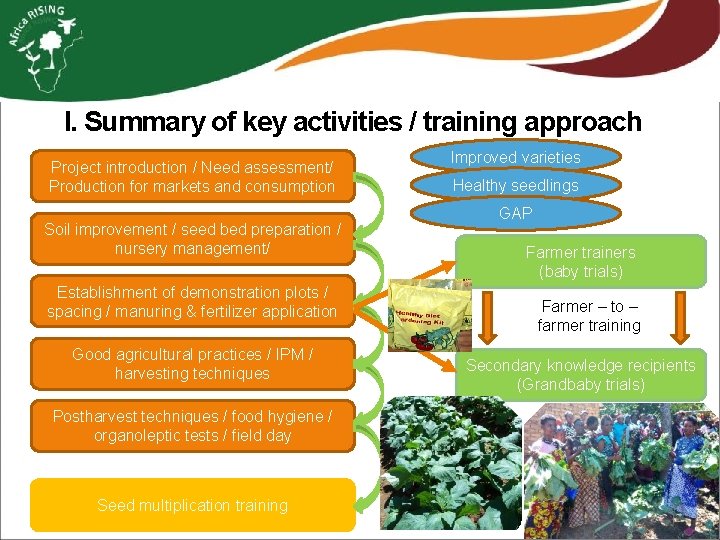 I. Summary of key activities / training approach Project introduction / Need assessment/ Production