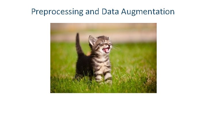 Preprocessing and Data Augmentation 