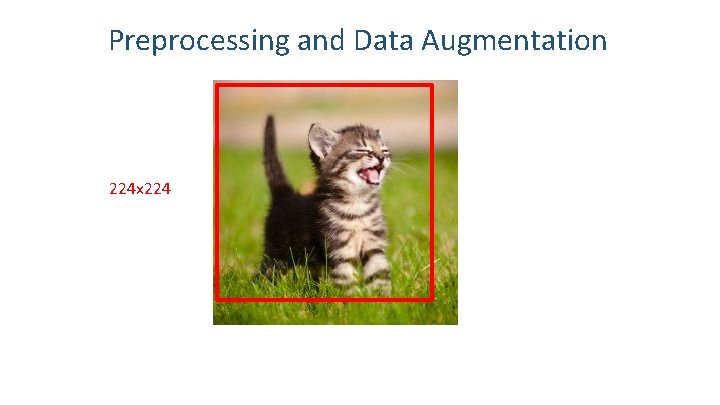 Preprocessing and Data Augmentation 224 x 224 
