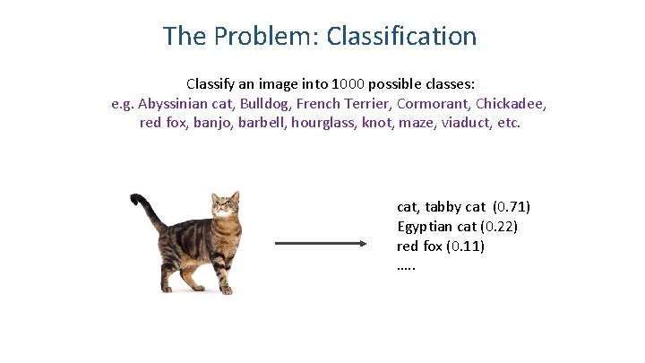 The Problem: Classification Classify an image into 1000 possible classes: e. g. Abyssinian cat,