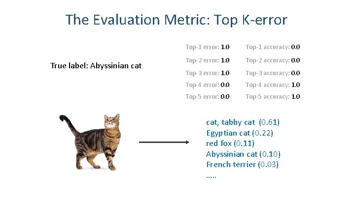 The Evaluation Metric: Top K-error True label: Abyssinian cat Top-1 error: 1. 0 Top-1