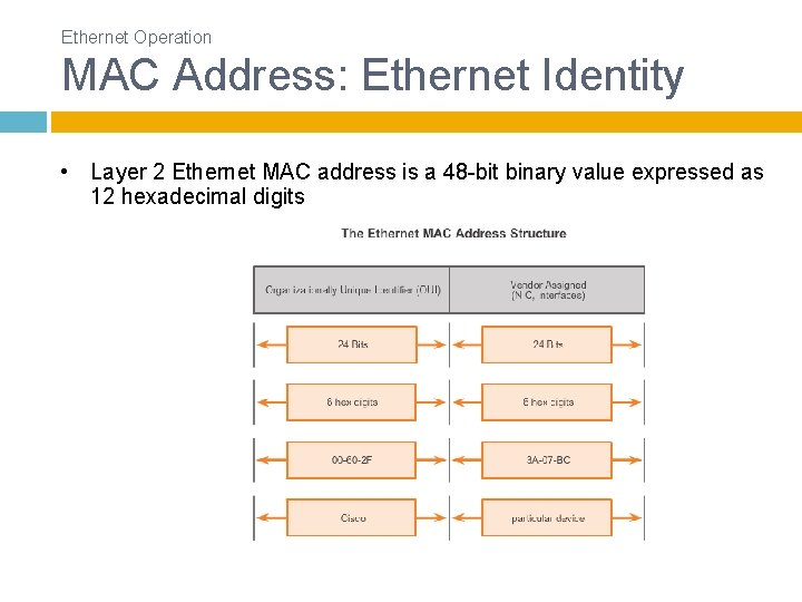 Ethernet Operation MAC Address: Ethernet Identity • Layer 2 Ethernet MAC address is a