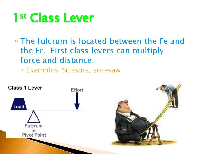 1 st Class Lever The fulcrum is located between the Fe and the Fr. 1 st Class Lever The fulcrum is located between the Fe and the Fr.