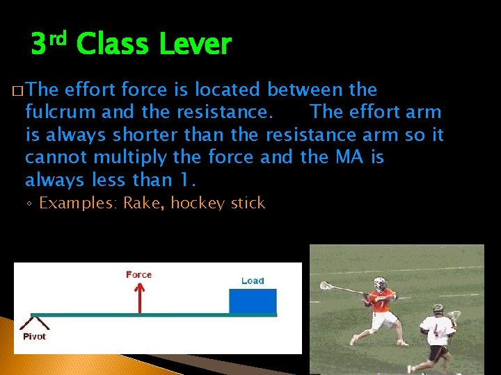 3 rd Class Lever � The effort force is located between the fulcrum and 3 rd Class Lever � The effort force is located between the fulcrum and