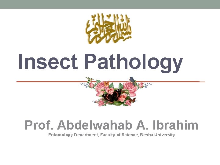 Insect Pathology Prof. Abdelwahab A. Ibrahim Entomology Department, Faculty of Science, Benha University 