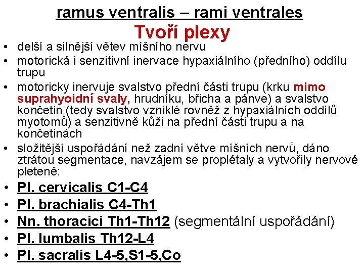 ramus ventralis – rami ventrales Tvoří plexy • delší a silnější větev míšního nervu