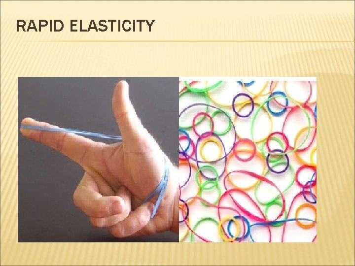 RAPID ELASTICITY 