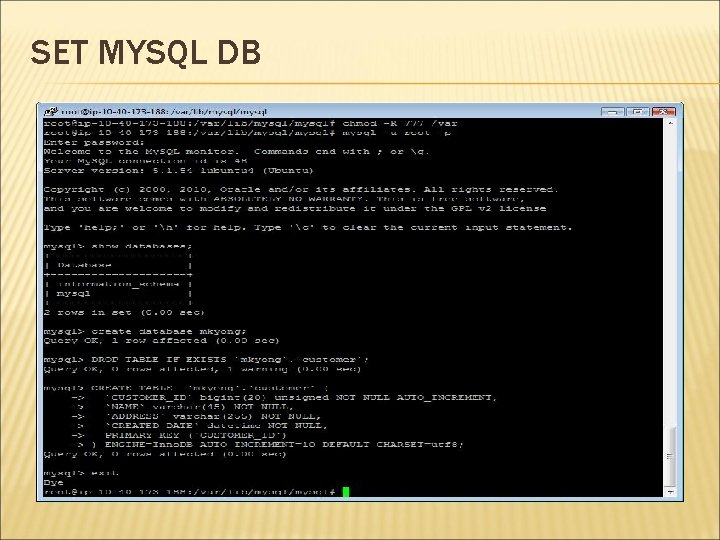 SET MYSQL DB 